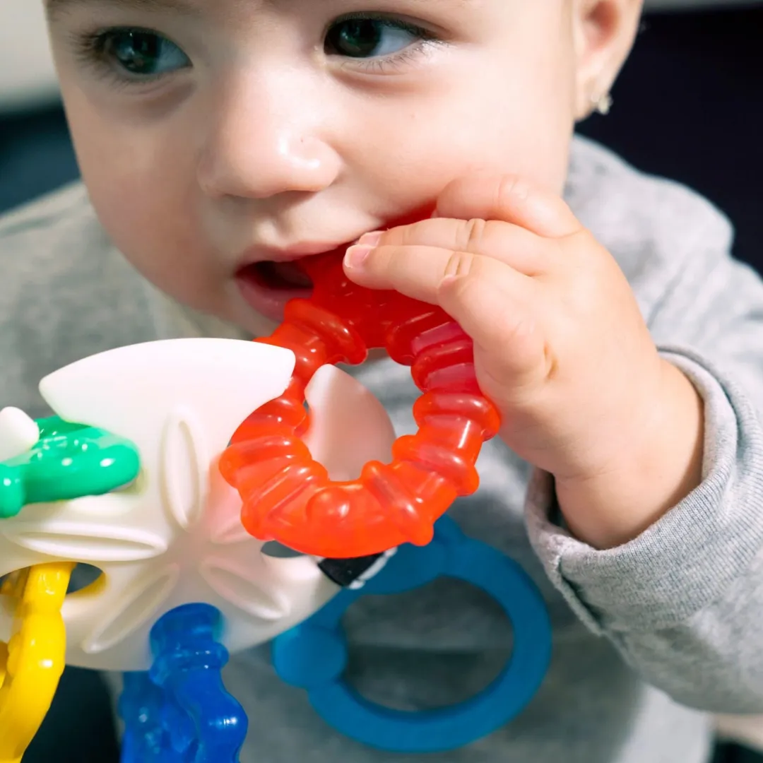 Baby Einstein Sea of Sensory Teether Toy (3m )