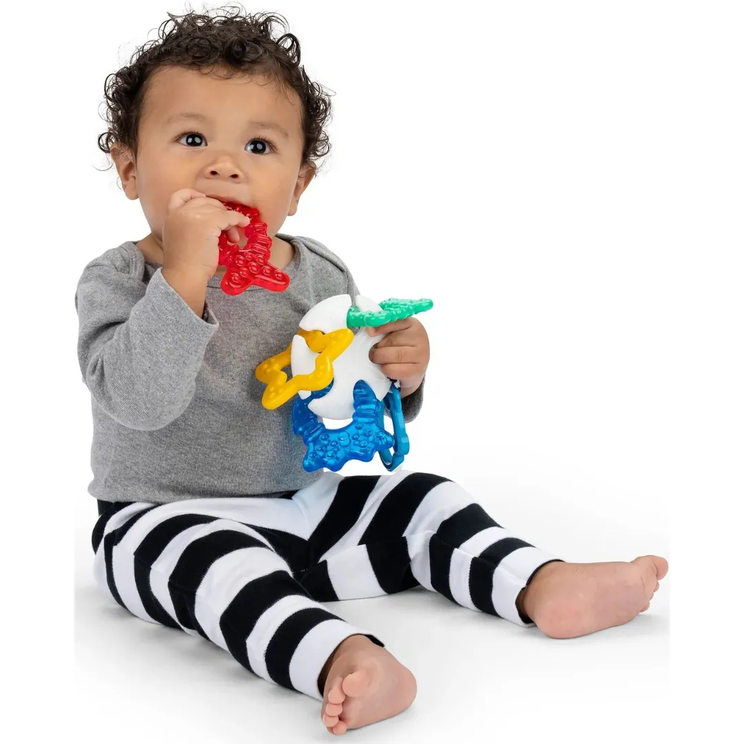 Baby Einstein Sea of Sensory Teether Toy (3m )