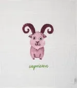 Baby Swaddles/Blankets(Capricorn, Dec. 22-Jan. 19)